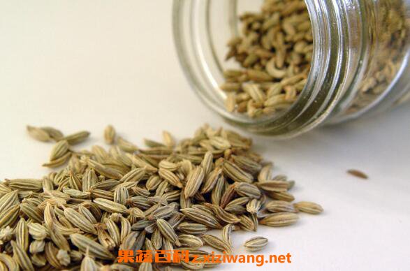 孜然粉是什么做的 孜然粉的危害有哪些