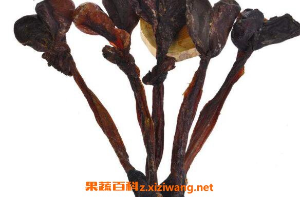 干驴鞭泡酒怎么处理味