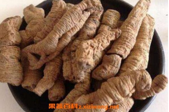 巴戟天和什么一起泡酒 巴戟天泡酒的功效