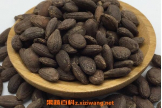 瓜蒌子与吊瓜子的区别 瓜蒌子的功效与作用