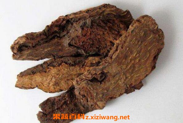 锁阳怎么泡酒 锁阳泡酒的配方和教程