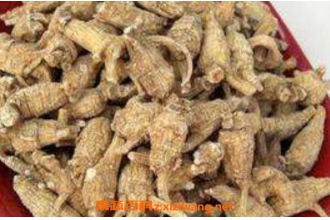花旗参的功效与作用 花旗参的药用价值