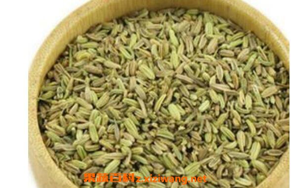 调料小茴香籽怎么用 小茴香籽的食用方法