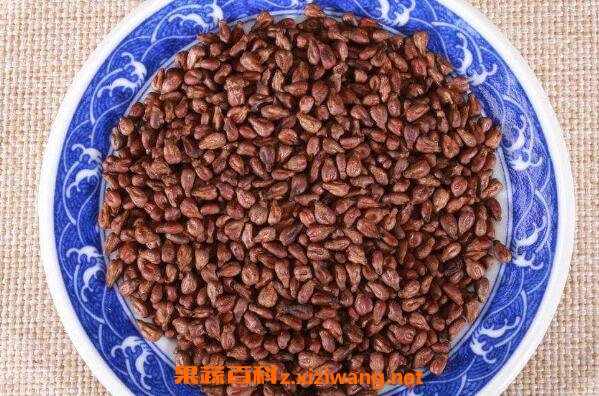 女人吃葡萄籽的作用和副作用