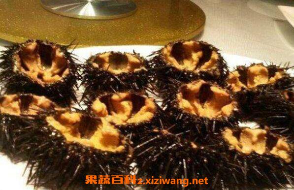 为什么海胆弄开没有黄 海胆没有黄怎么处理