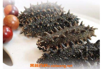 刺海参的功效与作用 吃刺海参的好处