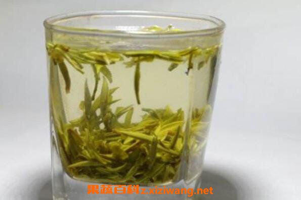 哪些茶叶属于黄芽茶 黄芽茶的功效与作用