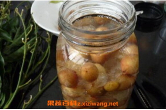 黄皮果泡酒有什么好处 黄皮果泡酒怎么做