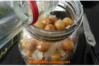 黄皮果泡酒的作用与功效 黄皮果泡酒有什么作用