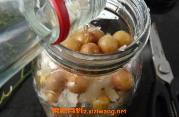 黄皮果泡酒作用与功效 黄皮果泡酒有什么作用