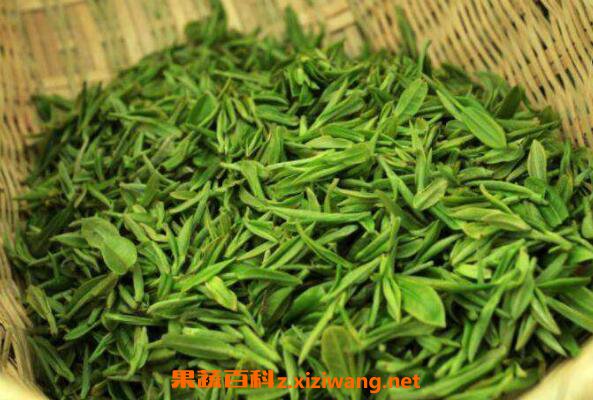 毛尖绿茶的功效与作用