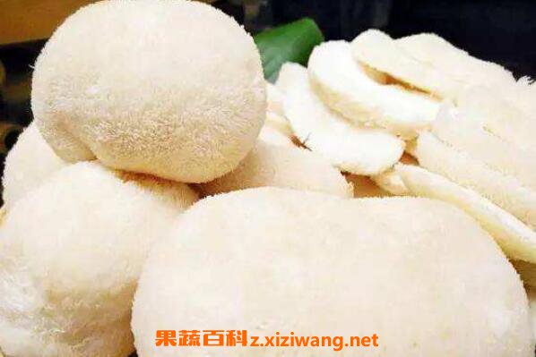 鲜猴头菇怎么处理不苦 新鲜猴头菇怎么去苦味