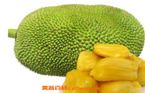 菠萝蜜怎么吃 菠萝蜜的正确食用方法