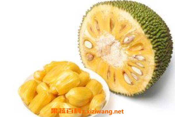 菠萝蜜怎么吃 菠萝蜜的正确食用方法
