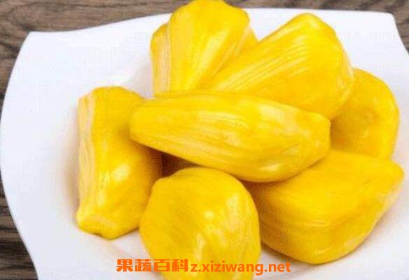 如何挑选菠萝蜜 如何看菠萝蜜是否成熟
