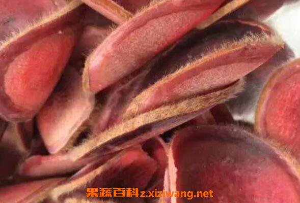 鲜鹿茸怎么吃效果好 鲜鹿茸怎么处理