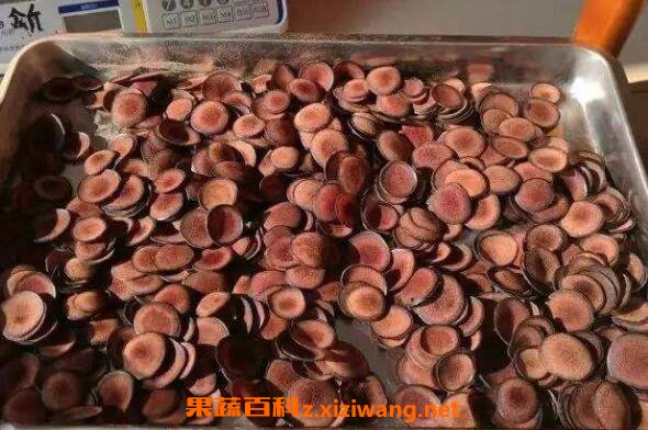 新鲜带血的鹿茸怎么吃 带血新鲜鹿茸怎么泡酒