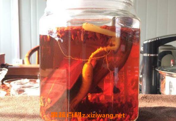 鹿茸怎么吃补肾 带血新鲜鹿茸能泡酒吗