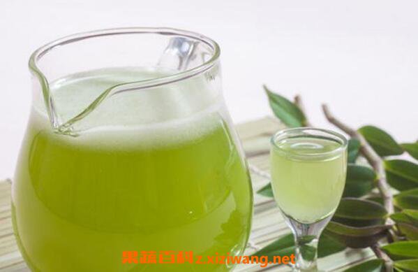 铁皮石斛可以泡茶喝吗 铁皮石斛怎么泡茶喝