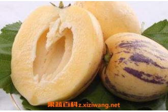 新鲜人参果怎么吃法 人参果