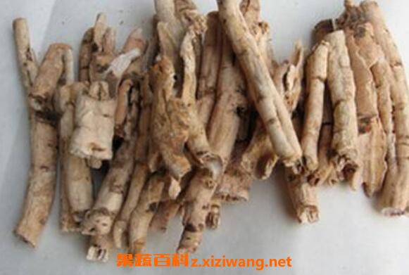 丹皮孕妇能吃吗 经期可以吃丹皮吗