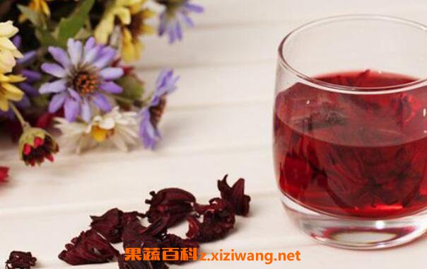 洛神花的功效与作用 洛神花怎么处理