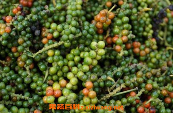 胡椒素