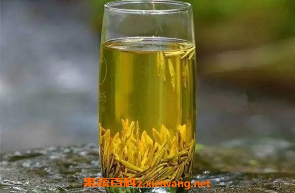 黄芽茶