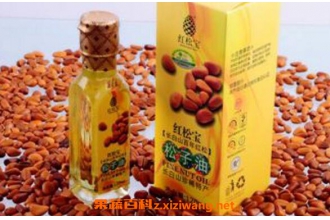 松子油的功效与作用 松籽油的药用价值