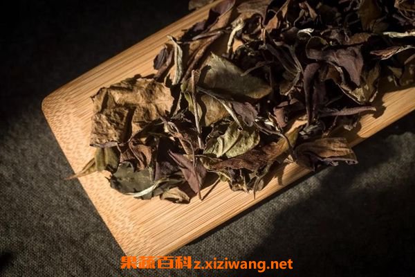 老白茶