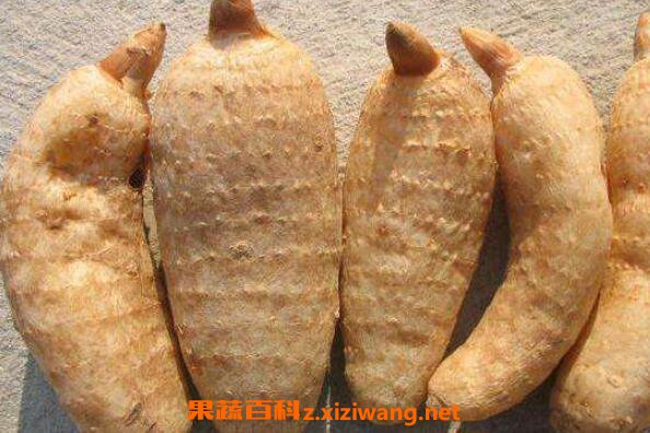 天麻泡酒的功效与作用