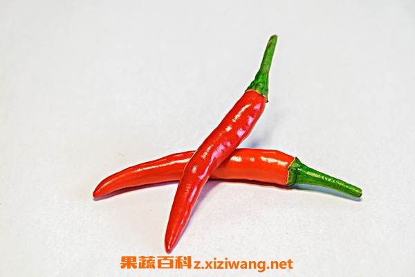 红辣椒