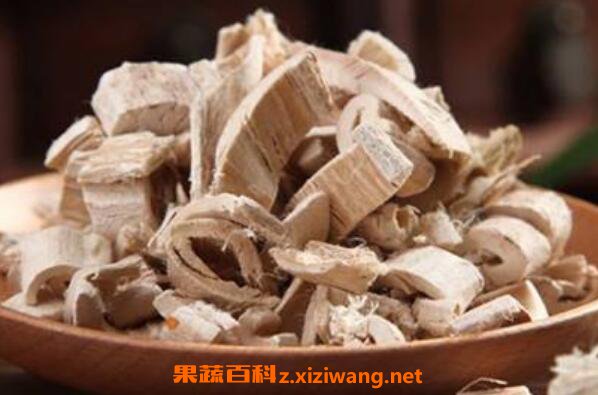 桑树根泡酒功效与作用