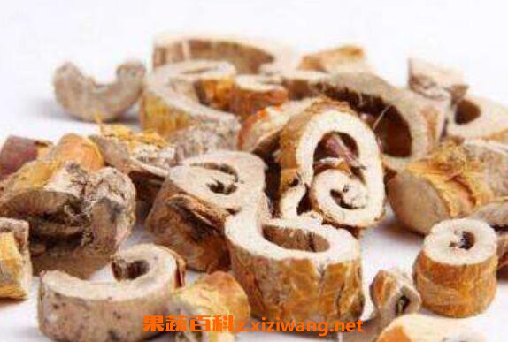 桑树根泡酒功效与作用