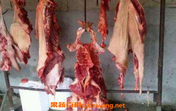 正宗骡子肉怎么做好吃 骡子肉的食用方法