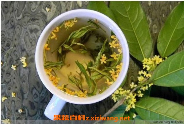 桂花茶