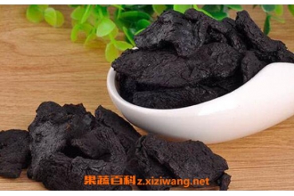 熟地黄和生地黄的区别
