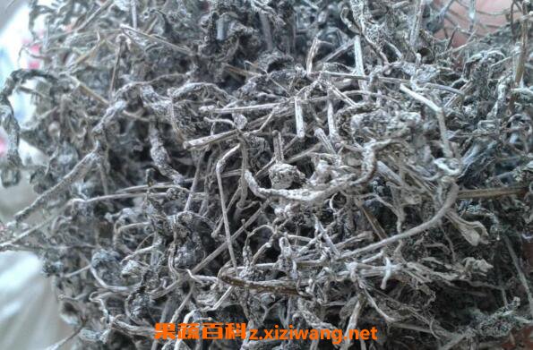 莓茶的副作用 莓茶什么人不适合喝