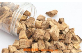 野葛根的作用与功效及药用价值