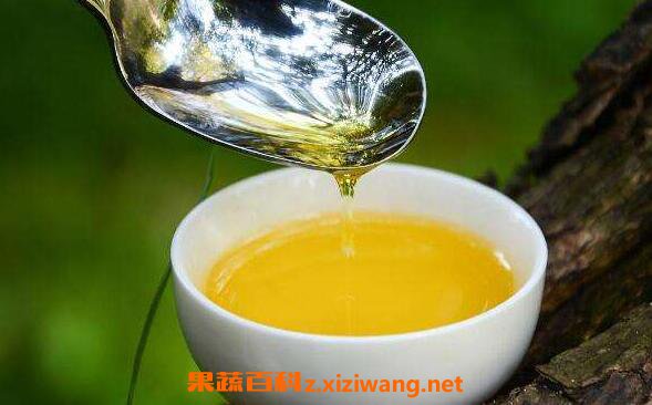 茶油的美容功效与作用