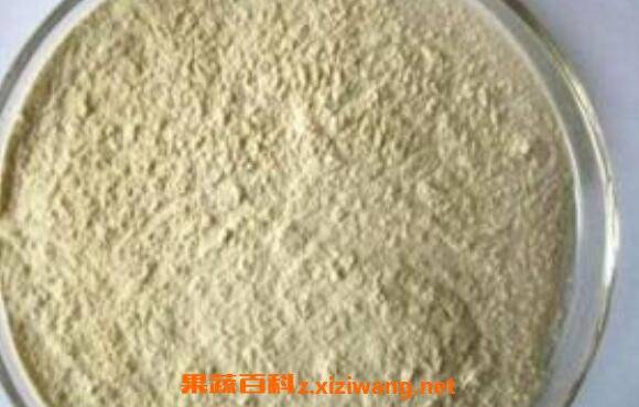 白芸豆粉的功效与作用