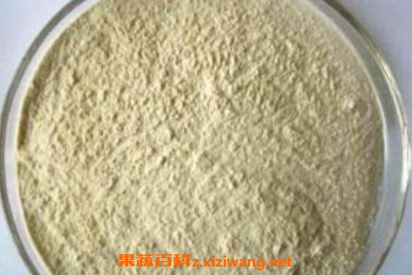 白芸豆粉的功效与作用及食用方法