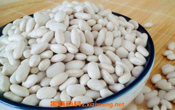 白芸豆粉的功效与作用及食用方法