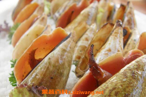 海螺的正确吃法图解 海螺不能吃的部位图示