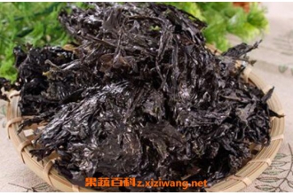 女人吃紫菜有什么好处 紫菜什么人不合适吃