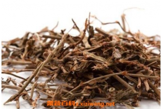 中药萹蓄的功效与作用 萹蓄的副作用