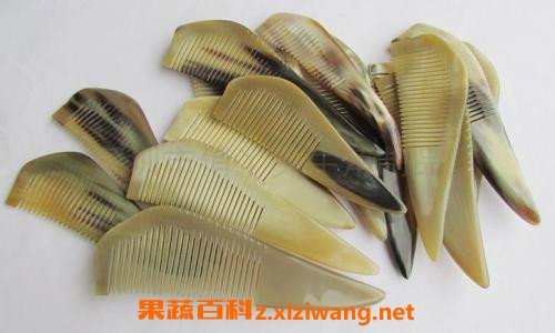 黄牛角