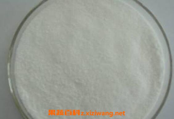 棉籽糖的功效及作用