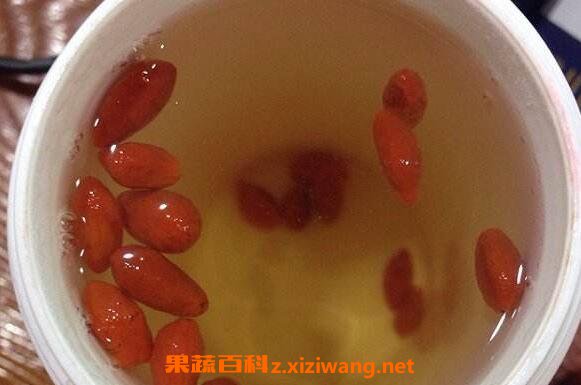 枸杞茶怎么泡 枸杞泡水喝的正确方法