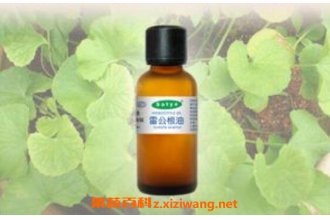 雷公根油的功效与作用 雷公根油的副作用